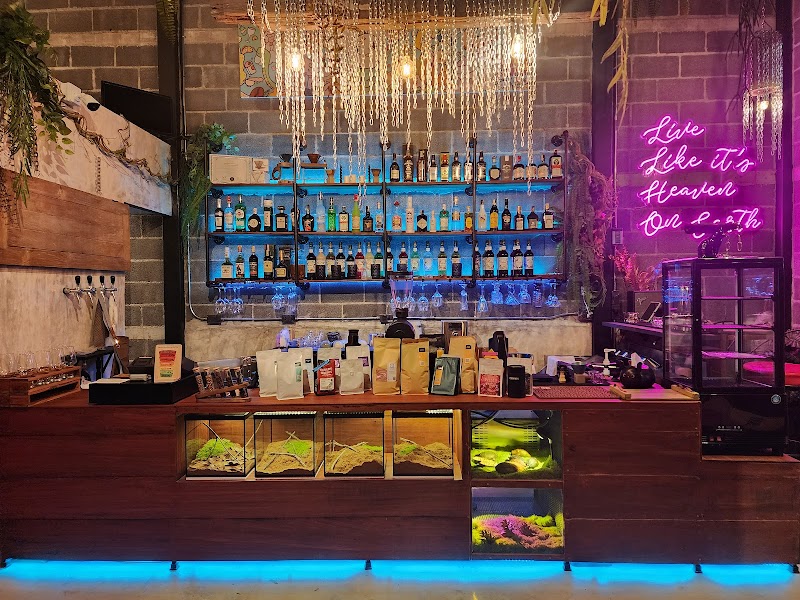 Earthling Craft - Coffee & Bar