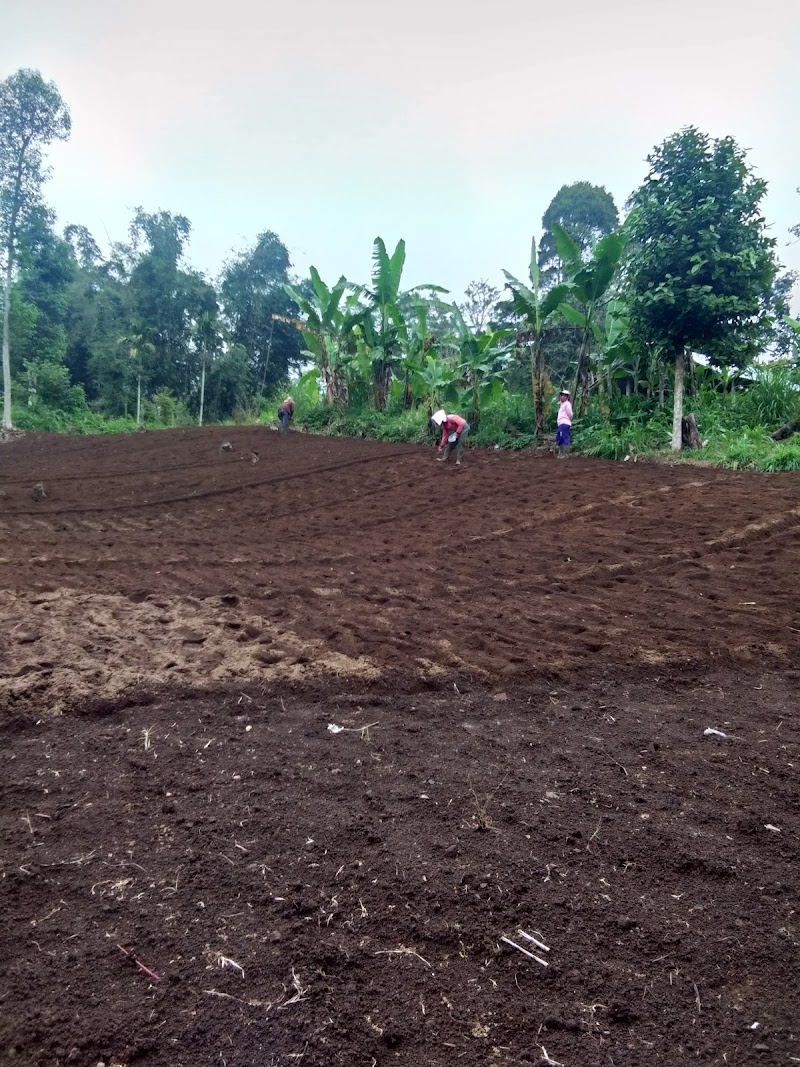 Island Organics Bali