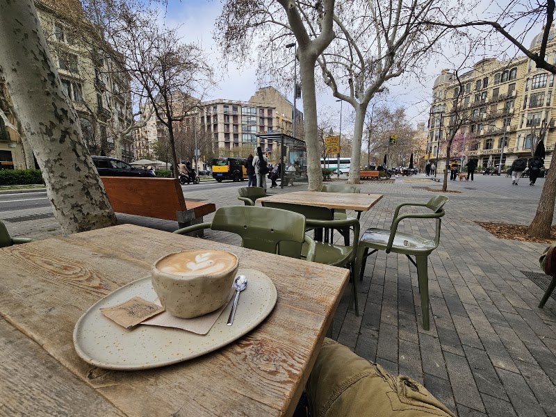 Bloome by Sasha | Passeig Sant Joan