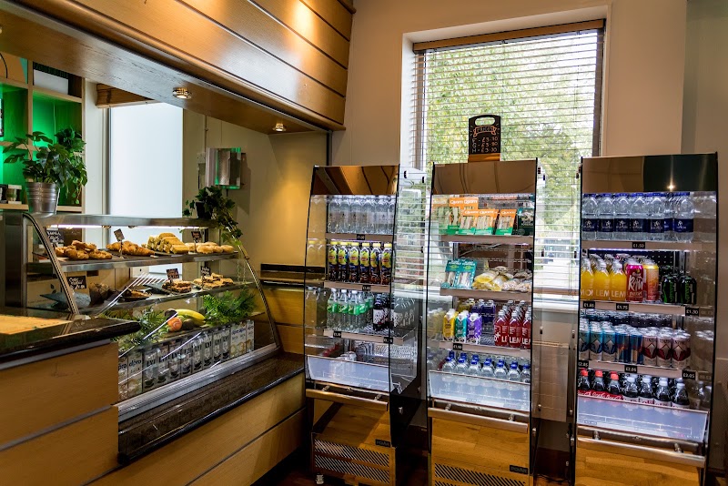 Wild Kitchen