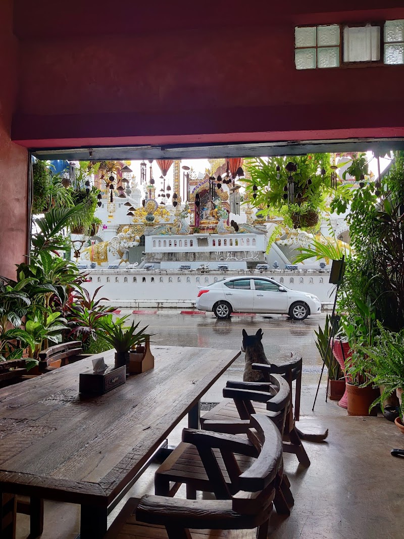 Kunda Vegetarian Vegan Burger Cafe Chiang Rai