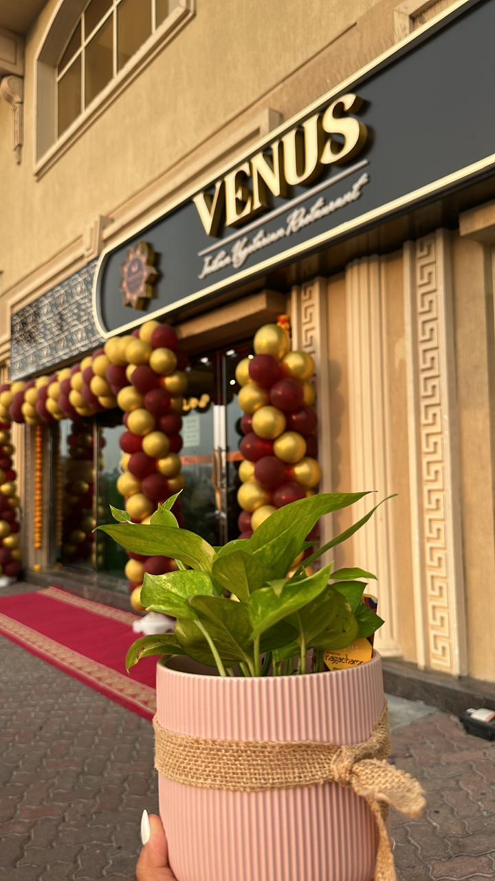 Venus Restaurant, Mankhool (Vegetarian Restaurant)