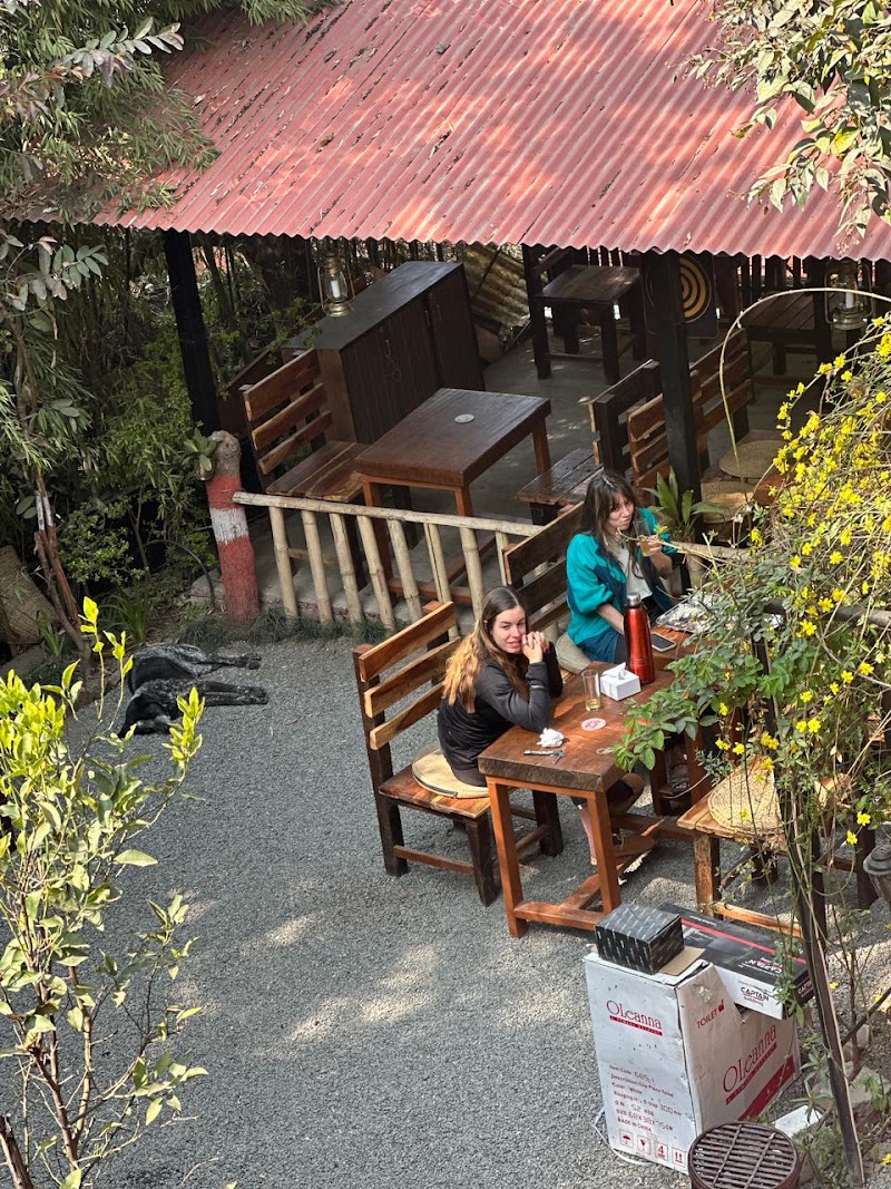 Forest Vibe Cafe and Restaurant