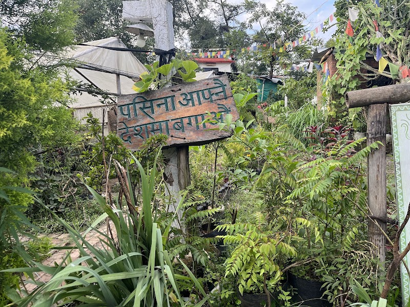 Organic Farm House