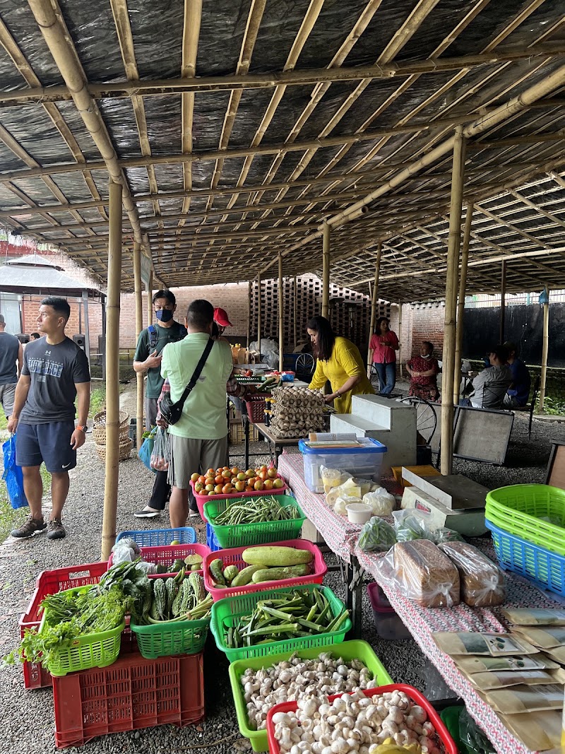 Utpala Cafe