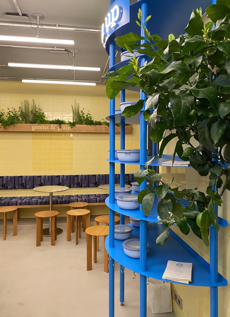 Green Club München Maxvorstadt