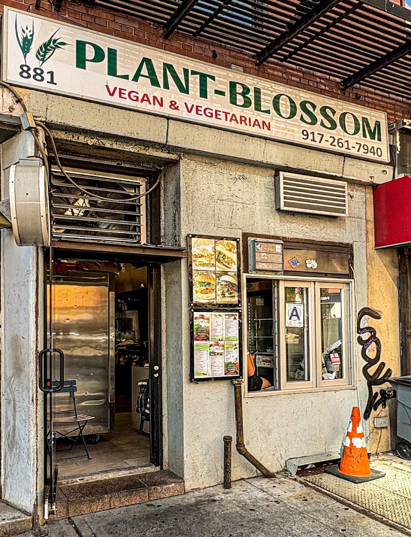 Plant-Blossom