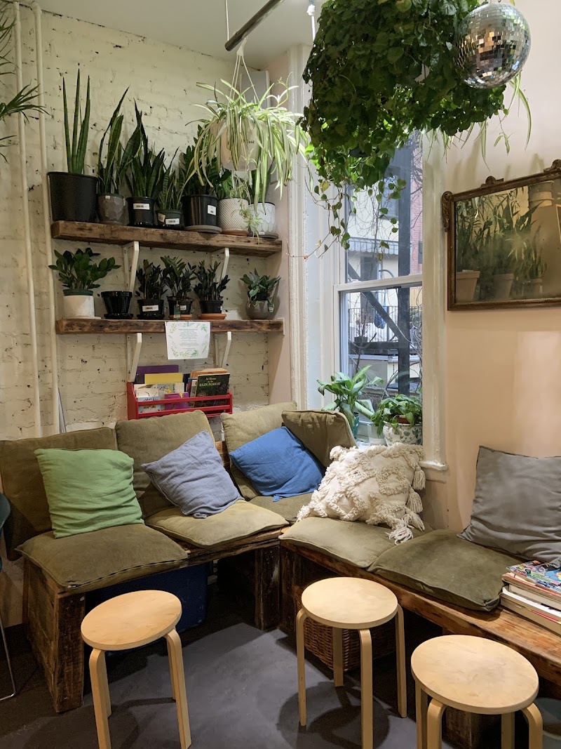 PLANTED CAFE