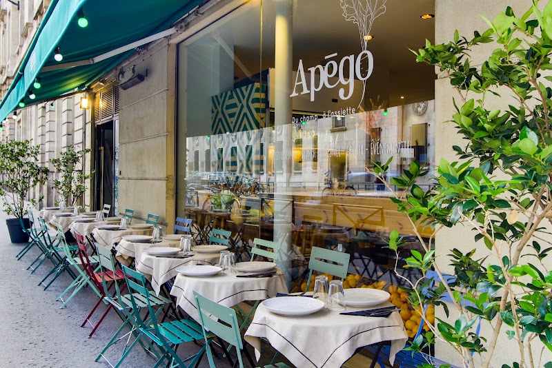 Apégo