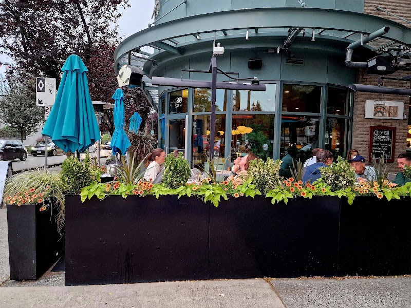 Oddfish Restaurant