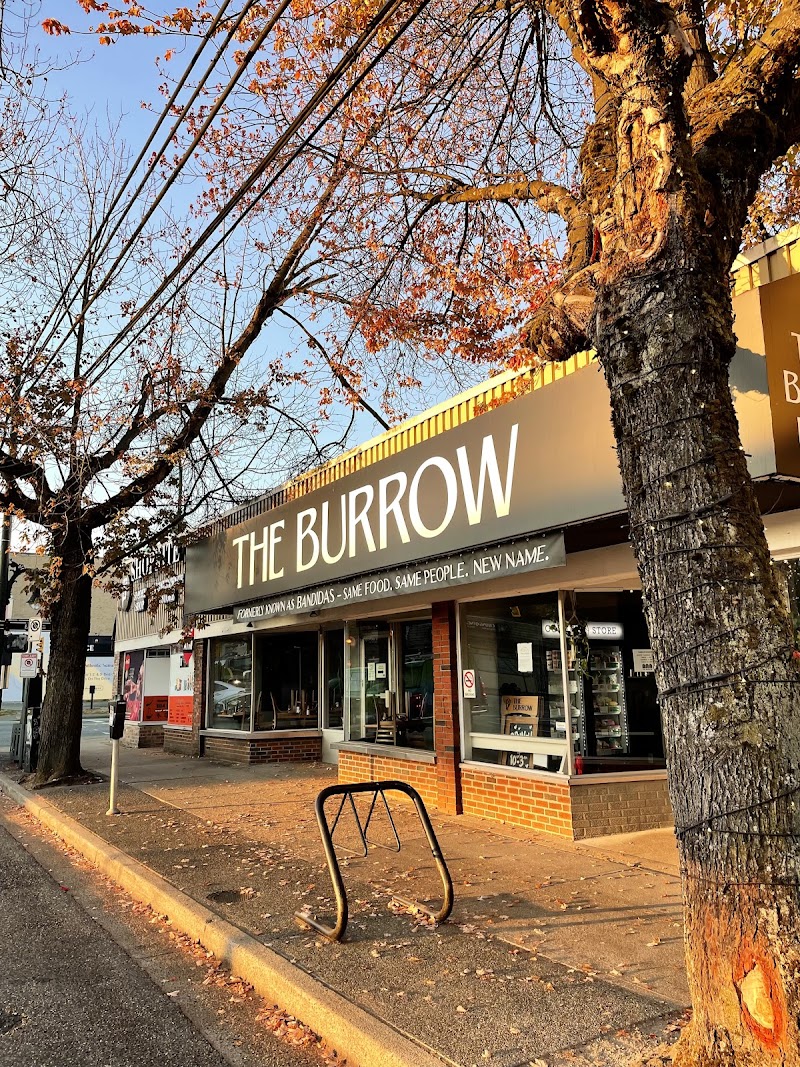 The Burrow