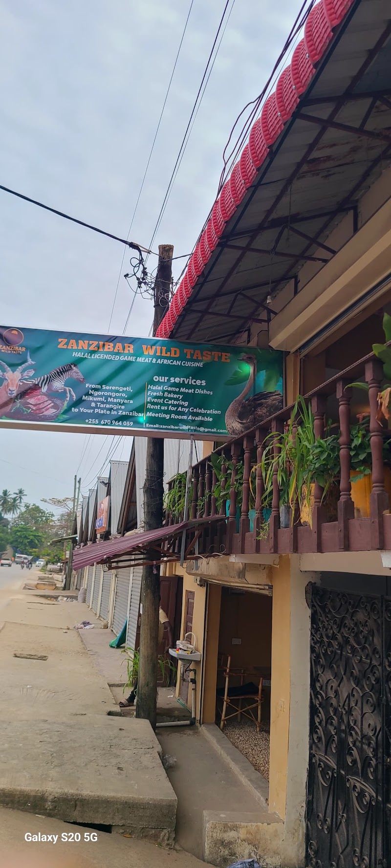 Zanzibar wild taste